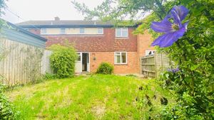 Photo 11- click for photo gallery